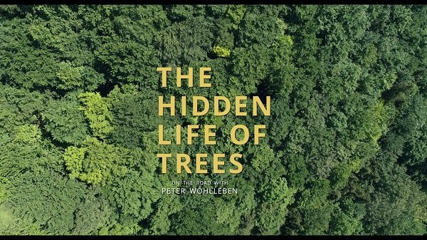   15 Filme über Bäume